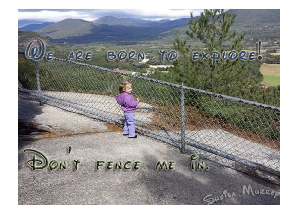 Don’t fence me in